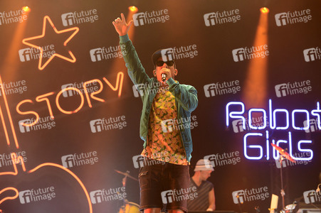 Deichbrand Festival 2019 in Wurster Nordseeküste