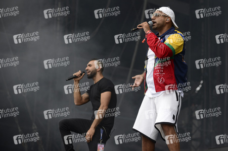 Deichbrand Festival 2019 in Wurster Nordseeküste