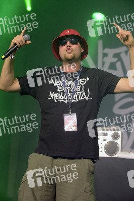 Deichbrand Festival 2019 in Wurster Nordseeküste