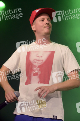 Deichbrand Festival 2019 in Wurster Nordseeküste