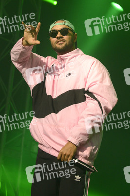 Deichbrand Festival 2019 in Wurster Nordseeküste