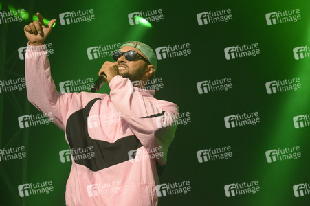 Deichbrand Festival 2019 in Wurster Nordseeküste