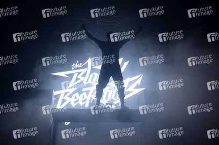 Deichbrand Festival 2019 in Wurster Nordseeküste