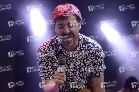 Deichbrand Festival 2019 in Wurster Nordseeküste