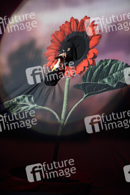 Deichbrand Festival 2019 in Wurster Nordseeküste