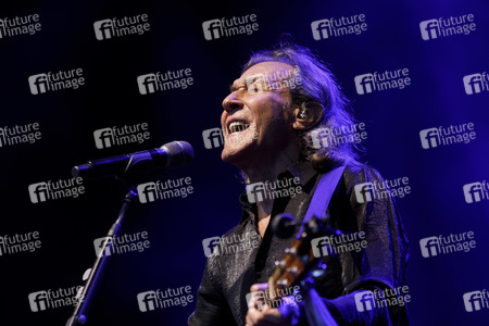 Konzert von Albert Hammond in Köln
