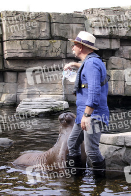 Walross-Taufe in Hamburg