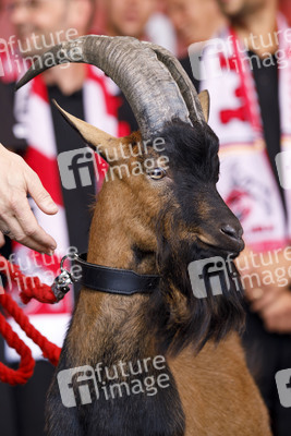 Saisoneröffnung 2019 des 1. FC Köln
