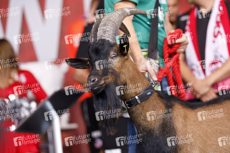 Saisoneröffnung 2019 des 1. FC Köln