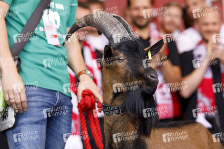 Saisoneröffnung 2019 des 1. FC Köln