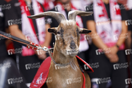 Saisoneröffnung 2019 des 1. FC Köln