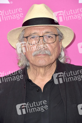 FX Networks Starwalk in Beverly Hills