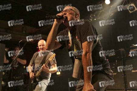 Konzert von Descendents in Hannover