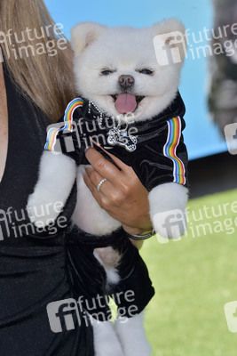 Filmpremiere 'Angry Birds 2 - Der Film' in Los Angeles