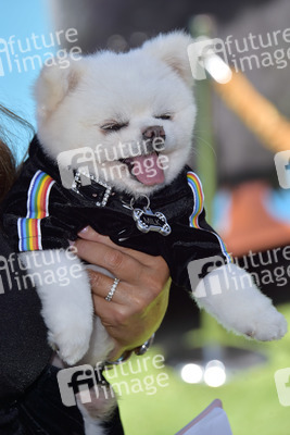 Filmpremiere 'Angry Birds 2 - Der Film' in Los Angeles