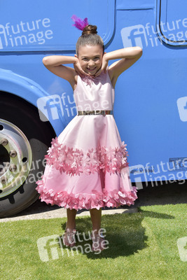 Filmpremiere 'Angry Birds 2 - Der Film' in Los Angeles