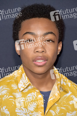 FYC Event 'When They See Us' in Los Angeles