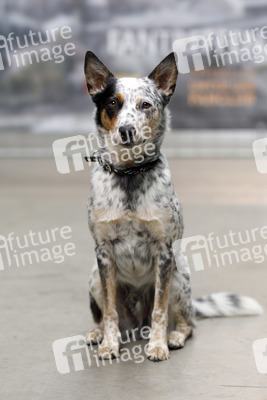 Fantreffen 'Unter uns' in Köln