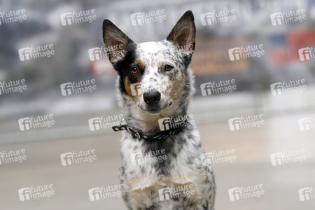 Fantreffen 'Unter uns' in Köln