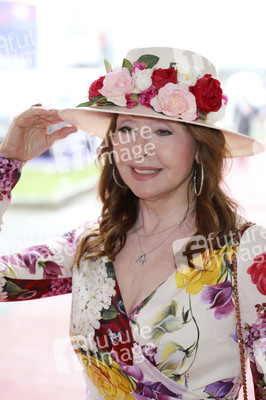 Audi Ascot Renntag 2019 in Langenhagen