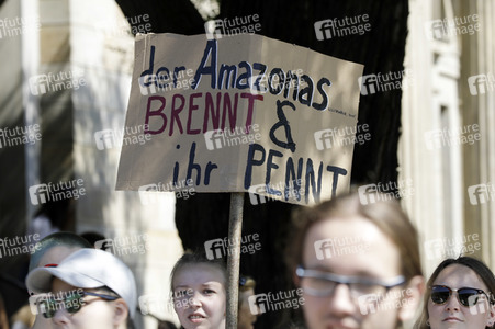 'Fridays for Future' Schülerdemonstration in Hannover