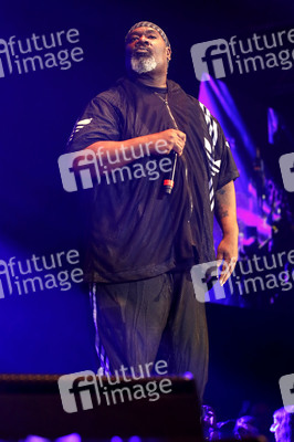 Stars for Free 2019 in Chemnitz