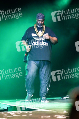 Stars for Free 2019 in Chemnitz