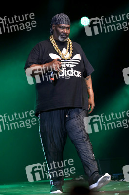 Stars for Free 2019 in Chemnitz