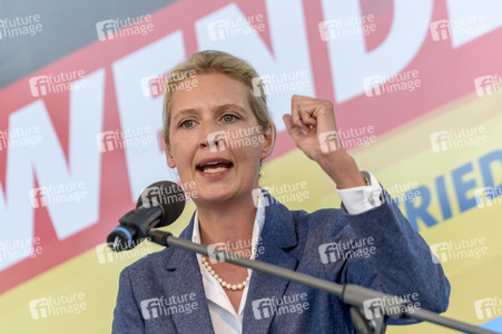 Wahlkampfveranstaltung der AfD in Oranienburg