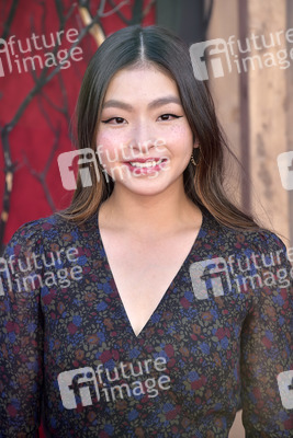 Filmpremiere 'Es Kapitel 2' in Los Angeles