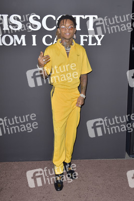 Filmpremiere 'Travis Scott: Look Mom I Can Fly' in Santa Monica