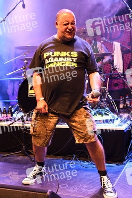 Konzert von Peter and the Test Tube Babies in Hannover