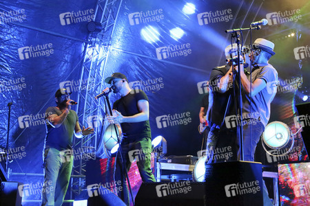 Konzert der Söhne Mannheims in Moritzburg