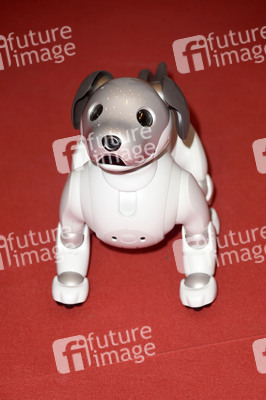 Verleihung 'Der Goldene Computer' 2019 in Berlin