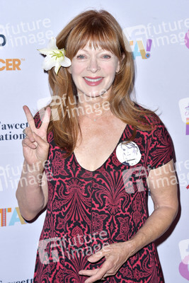 Tex-Mex Fiesta der Farrah Fawcett Foundation in Beverly Hills