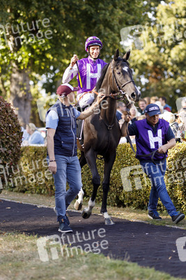 Tipico Renntag in Köln