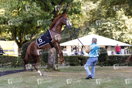 Tipico Renntag in Köln