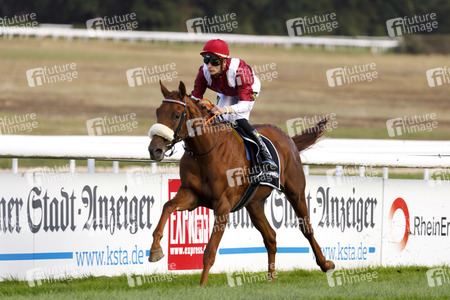 Tipico Renntag in Köln