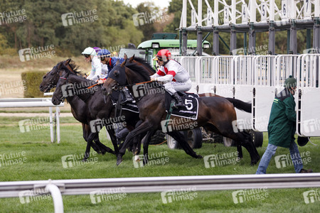 Tipico Renntag in Köln