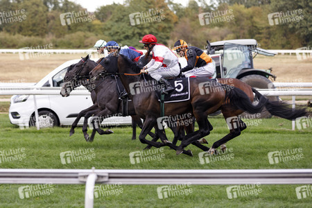 Tipico Renntag in Köln