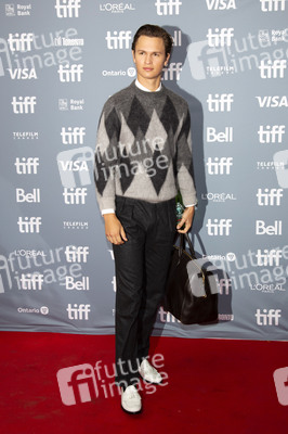 Pressekonferenz 'The Goldfinch', Toronto International Film Festival 2019