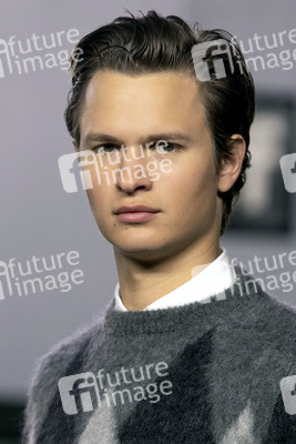 Pressekonferenz 'The Goldfinch', Toronto International Film Festival 2019