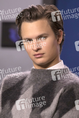 Pressekonferenz 'The Goldfinch', Toronto International Film Festival 2019