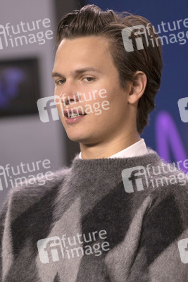 Pressekonferenz 'The Goldfinch', Toronto International Film Festival 2019