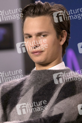 Pressekonferenz 'The Goldfinch', Toronto International Film Festival 2019