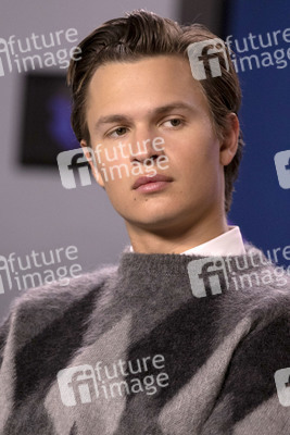 Pressekonferenz 'The Goldfinch', Toronto International Film Festival 2019