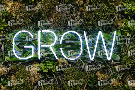 Fachmesse dmexco 2019 in Köln