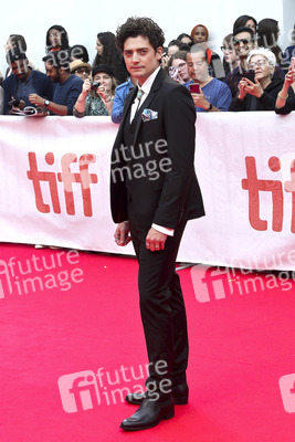 Filmpremiere 'The Goldfinch', Toronto International Film Festival 2019