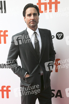 Filmpremiere 'The Goldfinch', Toronto International Film Festival 2019