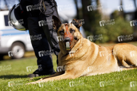 Polizeimaßnahmen beim Derby 1. FC Köln gegen Borussia Mönchengladbach in Köln